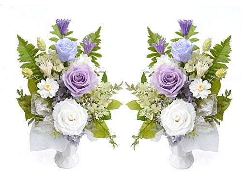 [veB }[Ch] vU[uht[  vU d     AWg   Ȃ 䂤 M Fo    