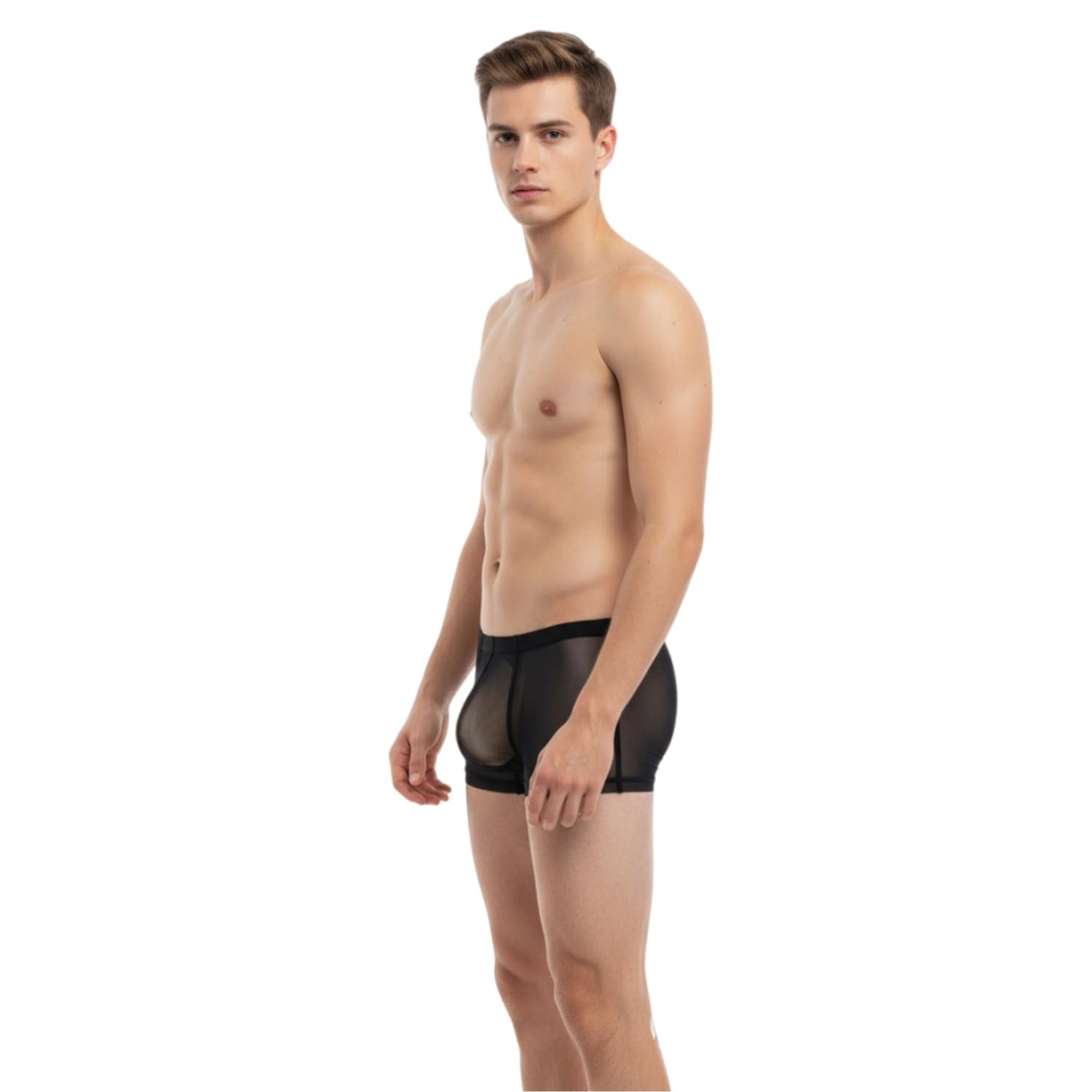 Mens Mesh Sexy Sheer See Through Boxer Briefs Bulge Enhancing Pouch Trunks Underwear Pack M L XL 2XL 3XL