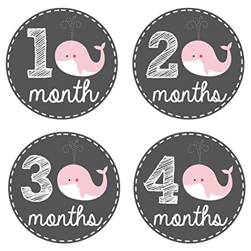 Pinkie Penguin Whale Baby Monthly Stickers - Baby Girl - 1-12 Months - Milestone Onesie Stickers - Month Stickers for Baby