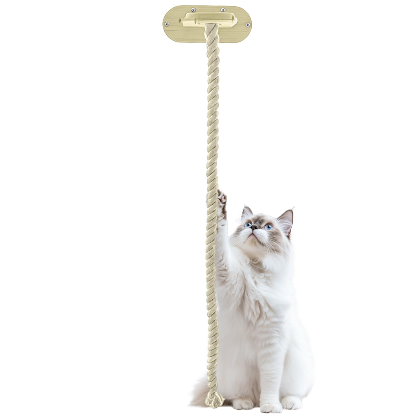 Kletterseil für Indoor-Katzen Interaktives Spielzeug | 150 cm Interaktives Seil geeignet für Haus, Wohnung, Schlafsaal, Bauernhof, Wohnzimmer, Schlafzimmer