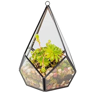 D’Eco Glass Geometric Plant Terrarium (5.7×5.7×7)- Tabletop & Hanging Teardrop Terrarium – Succulents, Air Plants, Moss- Summer Home, Garden, Wedding & Office Botanical Decor- Gift for Plant Lovers