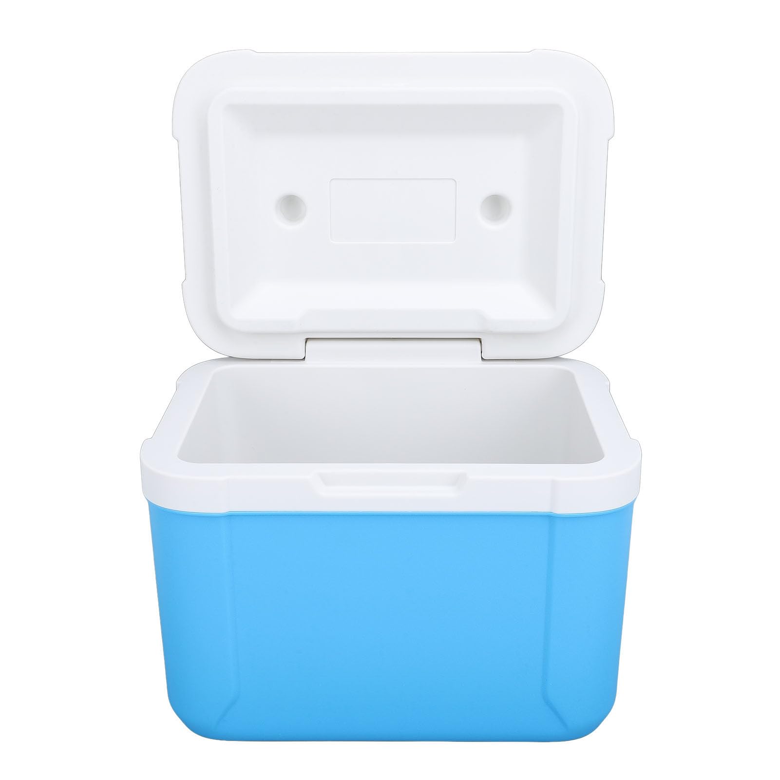 Scatola Frigo Portatile Isolata da 5 Litri, Frigorifero Multifunzionale Durevole per Barbecue da Campeggio e Picnic, Realizzato in Schiuma PU e PP