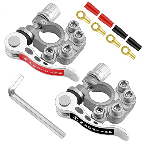 Direct Buy Cyancld12V2WayLeisureBatteryTerminals,Positive