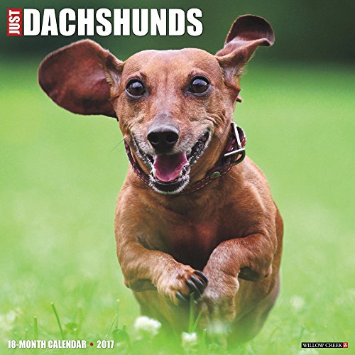 Just Dachshunds 2017 Calendar