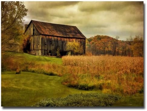 Old Barn on Rainy Day by Lois Bryan, 16x24-Inch Canvas Wall Art