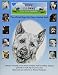 Hope For Paws Animal Rescue Organization