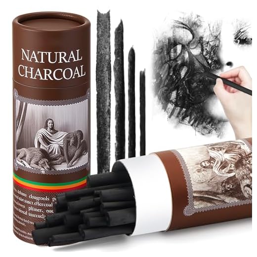 Gueevin 24 Pcs Soft Willow Charcoal Sticks Drawing,2-4mm，4-5mm，5-7mm，7-9mm