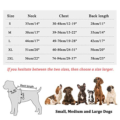 Gilet di raffreddamento per cani Gilet per cani in...