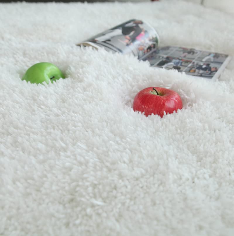 GOWE Long Pile Hand Tufted Shag Area Rug in Snow White