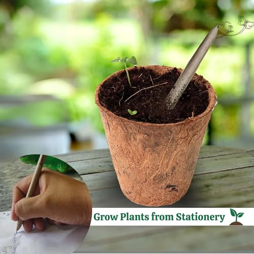 Image of Bombay Greens - 40 Plantable Seed Pens - Bio degradable Eco-Friendly Stationery for Corporate Gifting | Sustainable Gifts with Seeds - Pack of 40