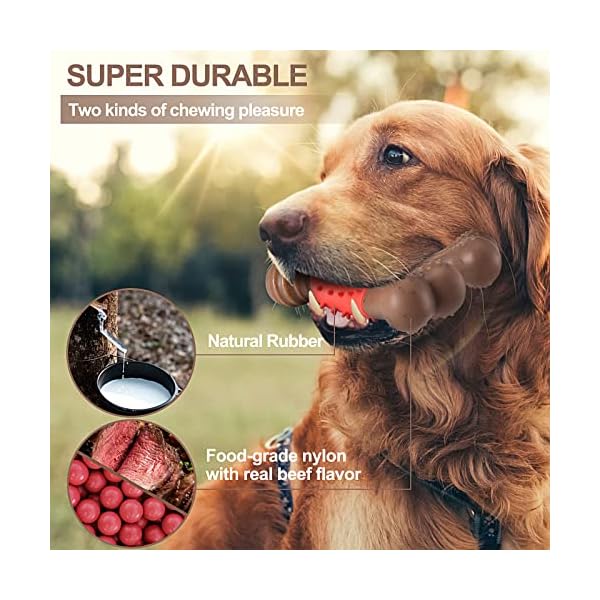 Indestructible Dog Toys for Aggressive Chewers - Durable and Safe