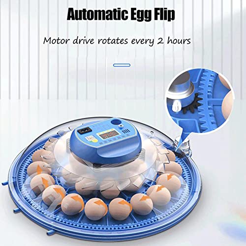 AJLDN Brutmaschine Vollautomatisch, 52 Eier Brutschrank Mit Temperaturkontrolle Funktion Digitales Brutmaschine für Eier… – Bild 4