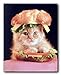 Cute Cat in a Sandwich Kitten Animal Wall Decor Art Print Poster (16x20)