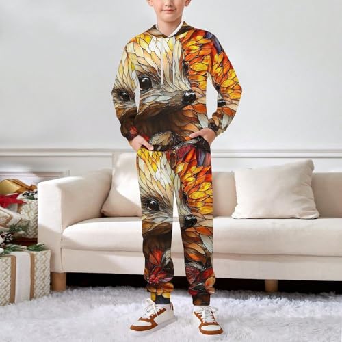 Boys Girls 2 Piece Sets Hoodie and Pants Sweatshirt Set 2 Pieces for Kids, Hedgehog Stained Glass Art3