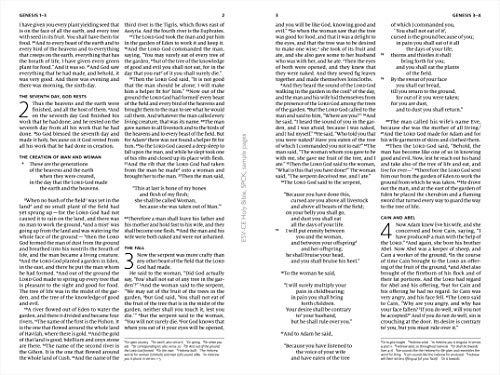 Image of Catholic Children's Bible: English Standard Version - Catholic Edition