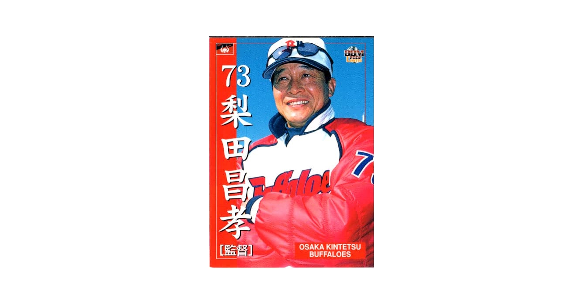 Amazon.co.jp: 2002bbm 大阪近鉄バファローズ レギュラー