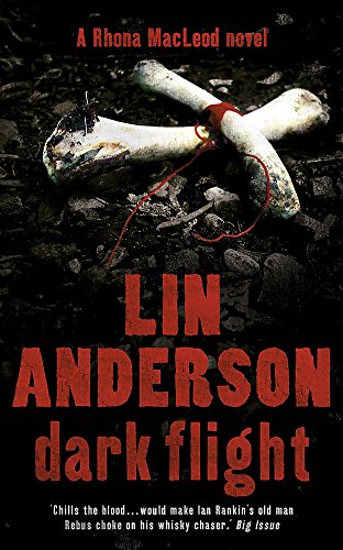 Dark Flight view 2