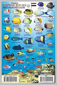 Egyptian Red Sea Reef Creatures Guide Franko Maps Laminated Fish Card 4 x 6
