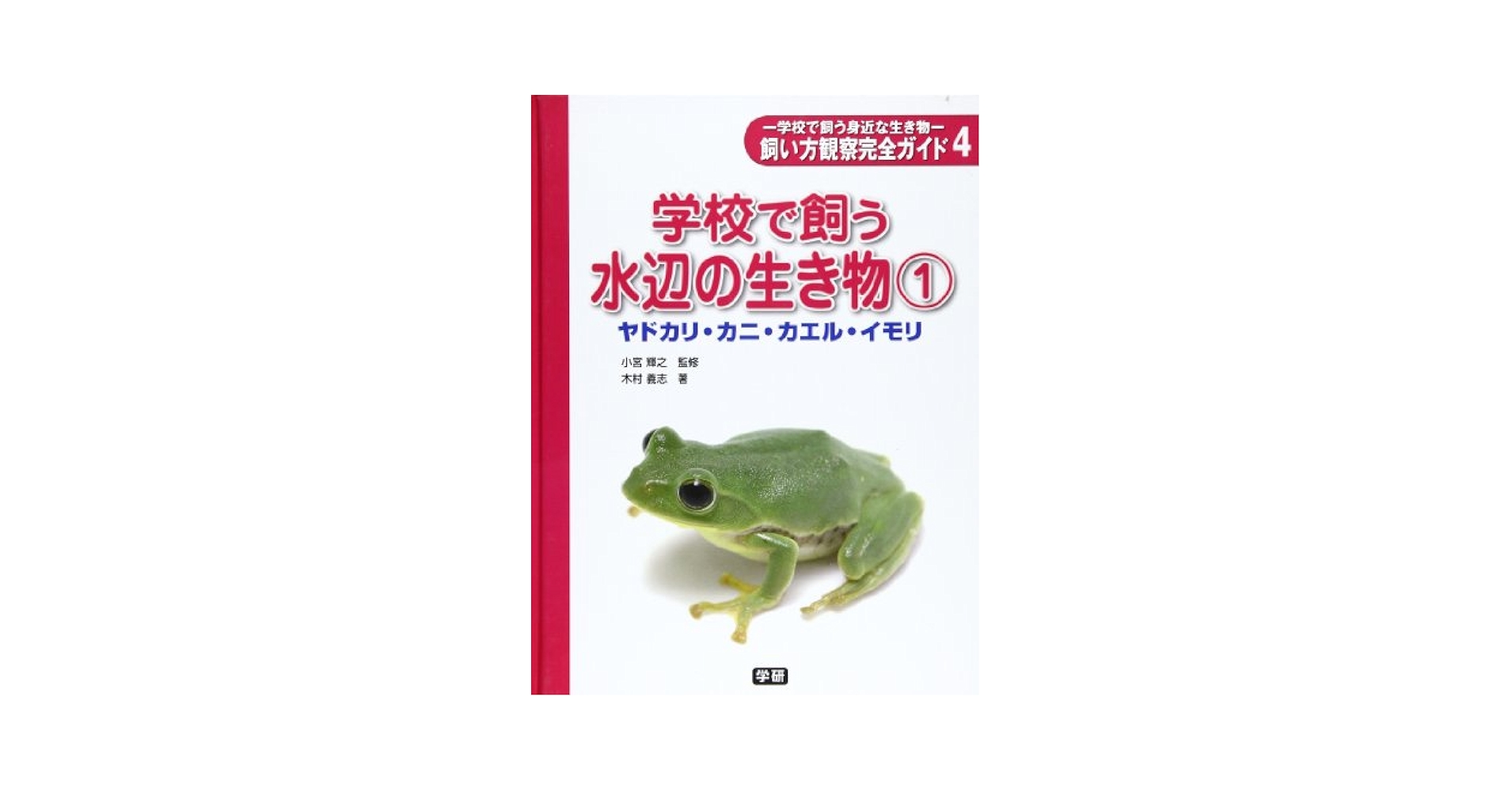 飼い方観察完全ガイド 学校で飼う身近な生き物 ４/Ｇａｋｋｅｎ/木村義志（大型本） 飼い方観察完全ガイド: 学校で飼う身近な生き物 (4) (学校で飼う