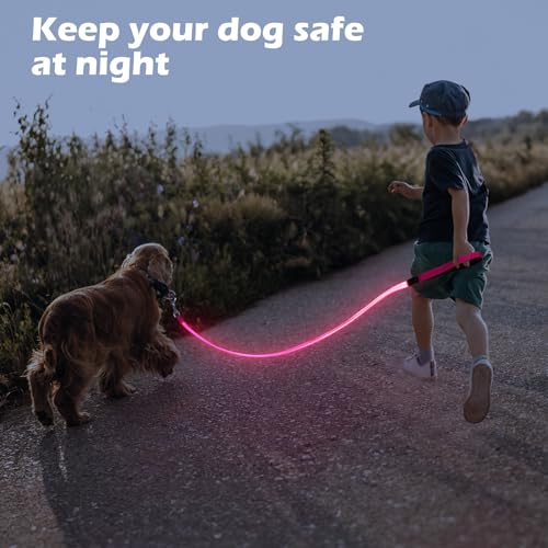 LED Hundeleine, Bpawser Light Up Hundeleine Micro USB wiederaufladbar, Nylon Gurtband leuchtende Sicherheit Standard Hundeleinen für Hunde 120 cm 4 Fuß (Rosa)