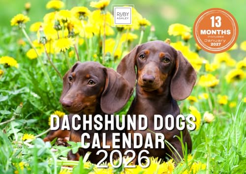 Dackel-Kalender 2025 – Platz für Notizen über 13 Monate Schöne Bilder von Dackel-Hunden und Welpen. Recycelbarer Kalender 2025, gedruckt in Großbritannien von Ruby Ashley®