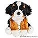 Adventure Planet Bernese Mountain Dog Heirloom Floppy 12
