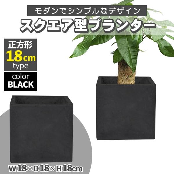 Amazon.co.jp: プランター 小型 20×20cm スクエア 正方形 深型