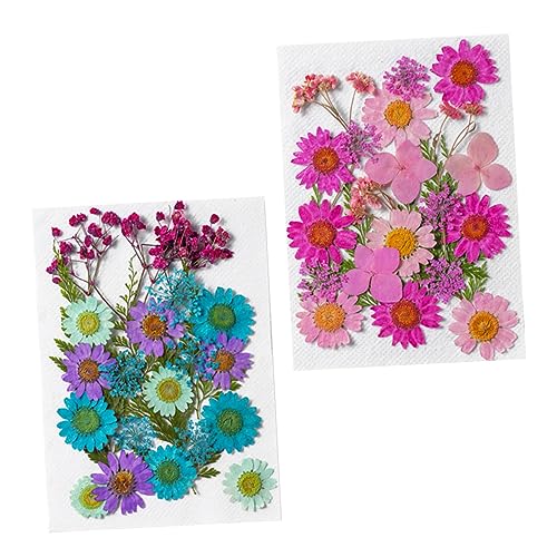 NOLITOY 50 flores secas para manualidades y decoración miniatura 1
