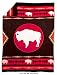 Native American Fleece Blanket - 'White Buffalo'