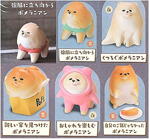 Amazon アニマルアトラクション ぽめさんぽ アソート6種セット 1 2 5 6 7 8 ガチャガチャ カプセルトイ カプセル玩具 おもちゃ Amazon アニマルアトラクション ぽめさんぽ アソート6種セット 1 2 5 6 7 8 ガチャガチャ カプセルトイ カプセル玩具 おもちゃ