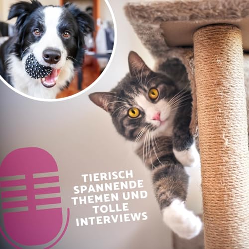 Heimtier Podcast - Wichtiges Zubeh&ouml;r f&uuml;r Hunde & Katzen Teil 1