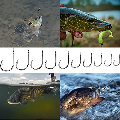 CAPRICIOUS 500 STK Angelhaken Kohlenstoffstahl, Haken Angeln Widerhaken Angelhaken mit Kunststoff Box Angelzubehör Set 3… – Bild 5