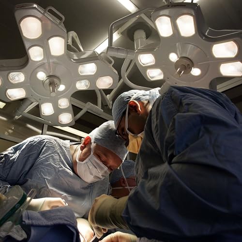 Organ donation, Gerry Adams and corgi-cloning