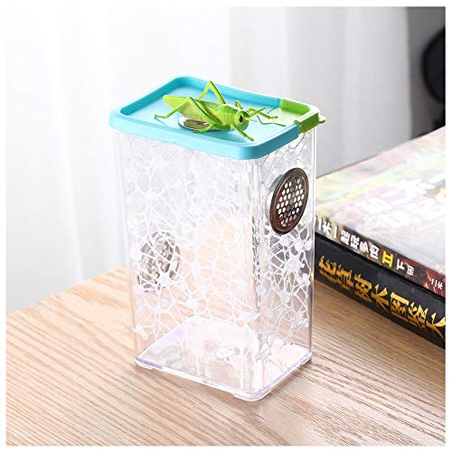 crapelles Breathable Colored Insect Mantis Outdoor Science and Natural Animal Exploration Tools Butterfly Spider Bottle Frog cage Bug Catcher Habitat Critter Caterpillars Container Cricket Snail Box