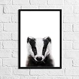 LS Bright Design Animaux Imprimés Posters et Enfants Peinture Murale Art de Chambre de Bébé Cadeaux, Blaireau, A3 (297mm x 420mm)