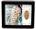 Pine Cone Fossil w/Display Box & COA 16780