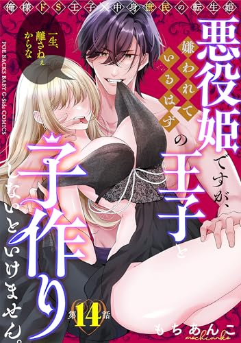 悪役姫ですが、嫌われているはずの王子と子作りしないといけません。(14) (BABY G-Side)