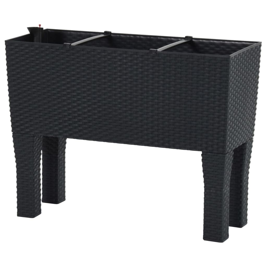 Fioriera Rialzata da Giardino Antracite 60x25x46cm con Inserto per Irrigazione in Rattan PP resistente ai Raggi UV Ideale per Piante Fiori Erbe Aromatiche Verde Pubblico e Privato