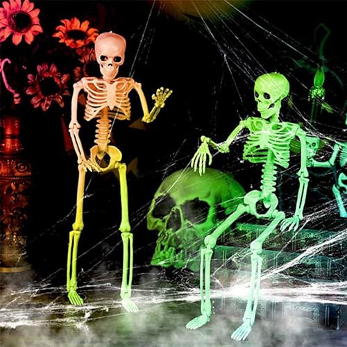 Squelette d'Halloween 40 cm pack double modele humain complet avec membres mobiles