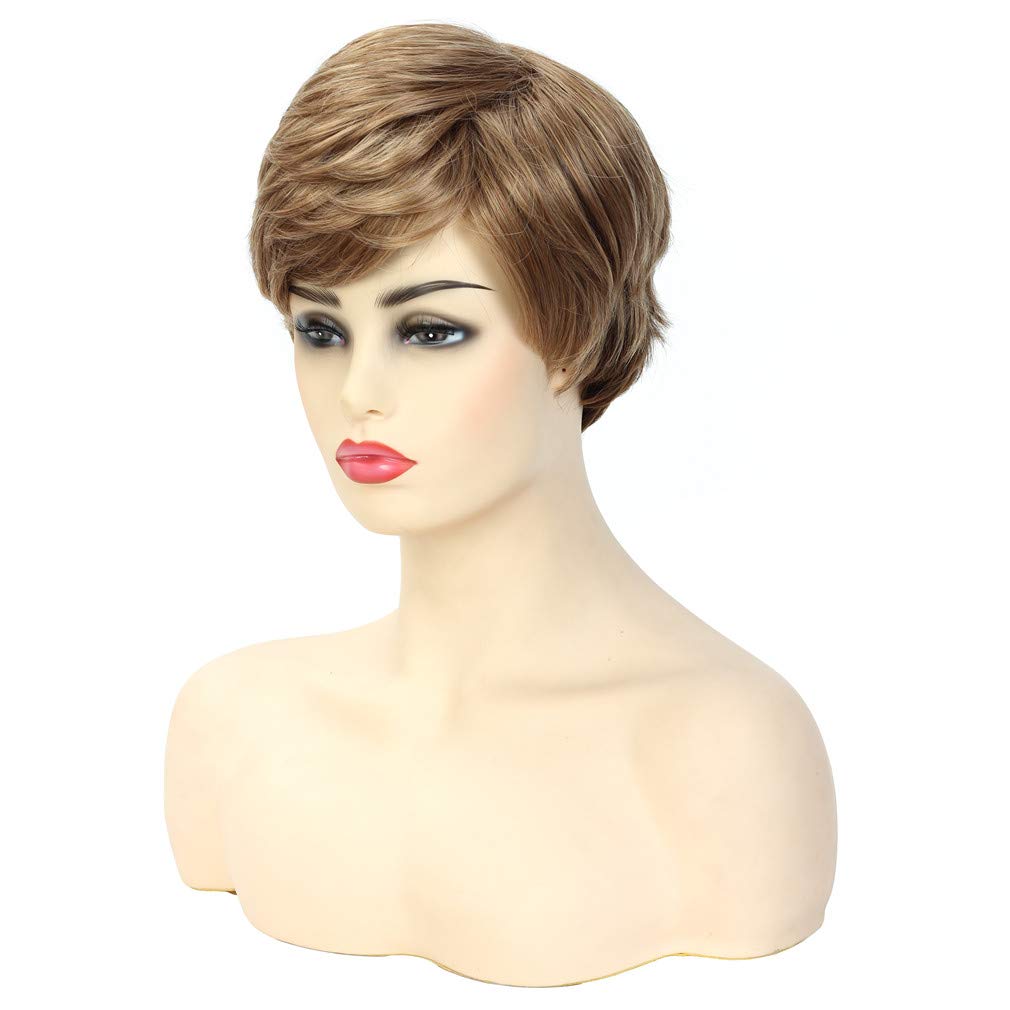 Joy&luck Fashion Short Wig Synthetic Wigs for Women Ombre Brown Color Wig Natrual Straight Style Daily Hairstyle