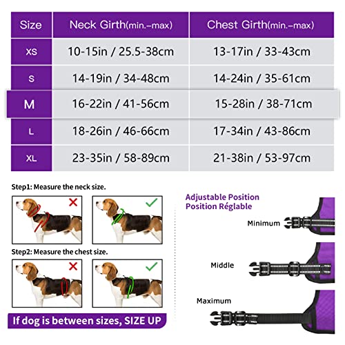 HEELE Harnais Chien, Harnais Chien Anti Traction, Réfléchissant, avec Poignée Rembourrée Contrôl, 2 Anneaux Métal, Harnais pour Petit Moyen et Grand Chien, Violet, M - Image 6