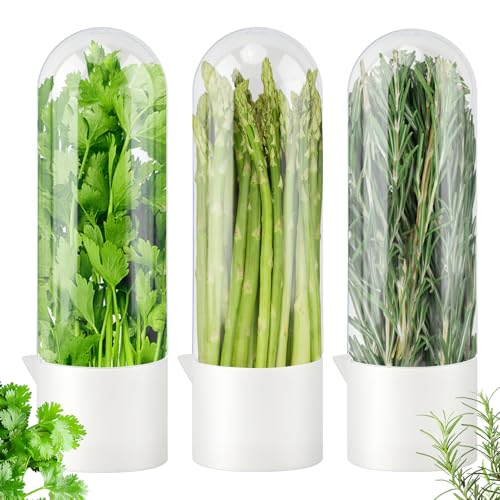 DiQiRenQin Cilantro Container for Fridge – Herb Keeper & Saver, Keeps Greens Fresh 2-3 Weeks | For Fresh Herbs (Parsley/Mint) – Herb Storage Containers Reduce Waste for Home Cooks (3, White, Large)