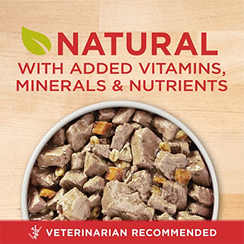 Image of Purina ONE Natural Wet Dog Food Gravy, Tender Cuts in Gravy Beef and Barley Entree - 13 Ounce (Pack of 12)