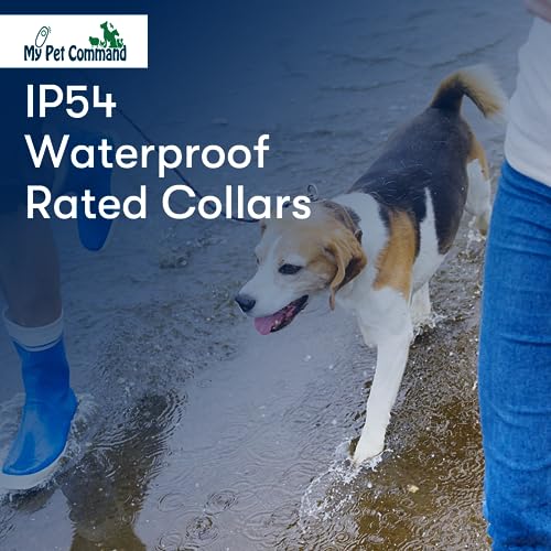 Charging Collar for Indoor Pet Barrier