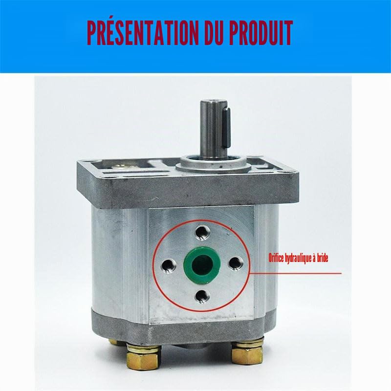Pompe à engrenages,Pompe à huile hydraulique,Hydraulikpumpe,d'aluminium,(Flat end-Right-hand CBN-F304)