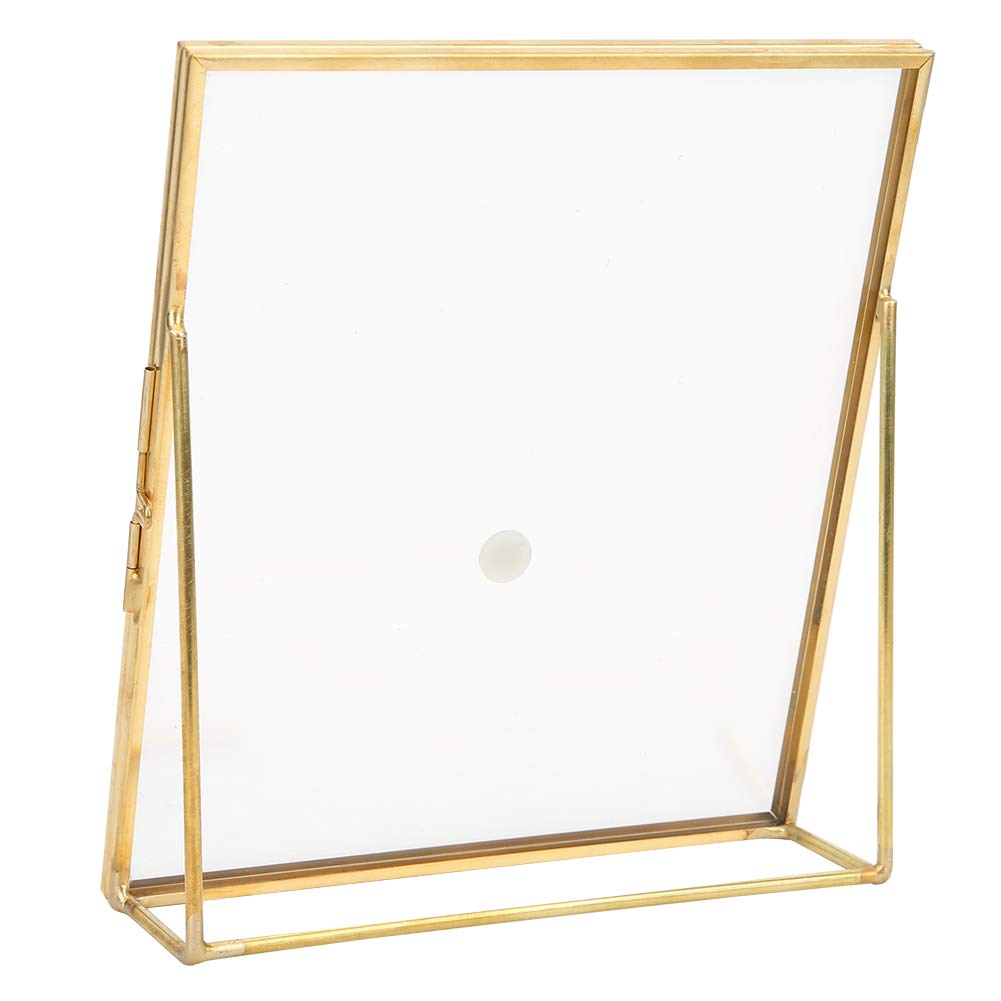 QANYEGN Specimen Holder Display Frame with Bracket, ld Standing Pl Display Frame, Simple Geometric Glass Frames