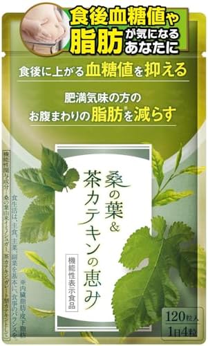 （00:30時点） 和漢の森 桑の葉＆茶カテキンの恵み 1袋 120粒 血糖値上昇を抑える 機能性表示食品 薬剤師監修 カテキン 錠剤 (1袋)