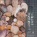 La constellation erotique (Spanish Edition)