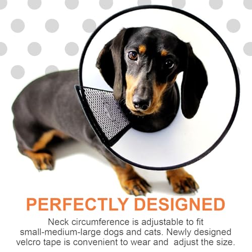 Image of Generic Adjustable Dog Recovery Cone Collar, Transparent PVC, Extra Large (17.1 inch - 19.7 inch)