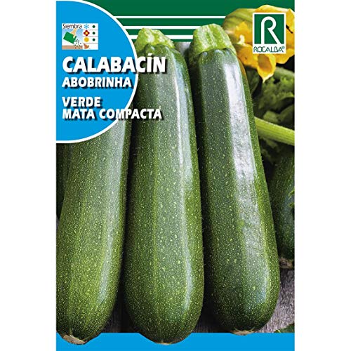 Semillas de Calabacín verde mata compacta - Calidad y Versatilidad ?